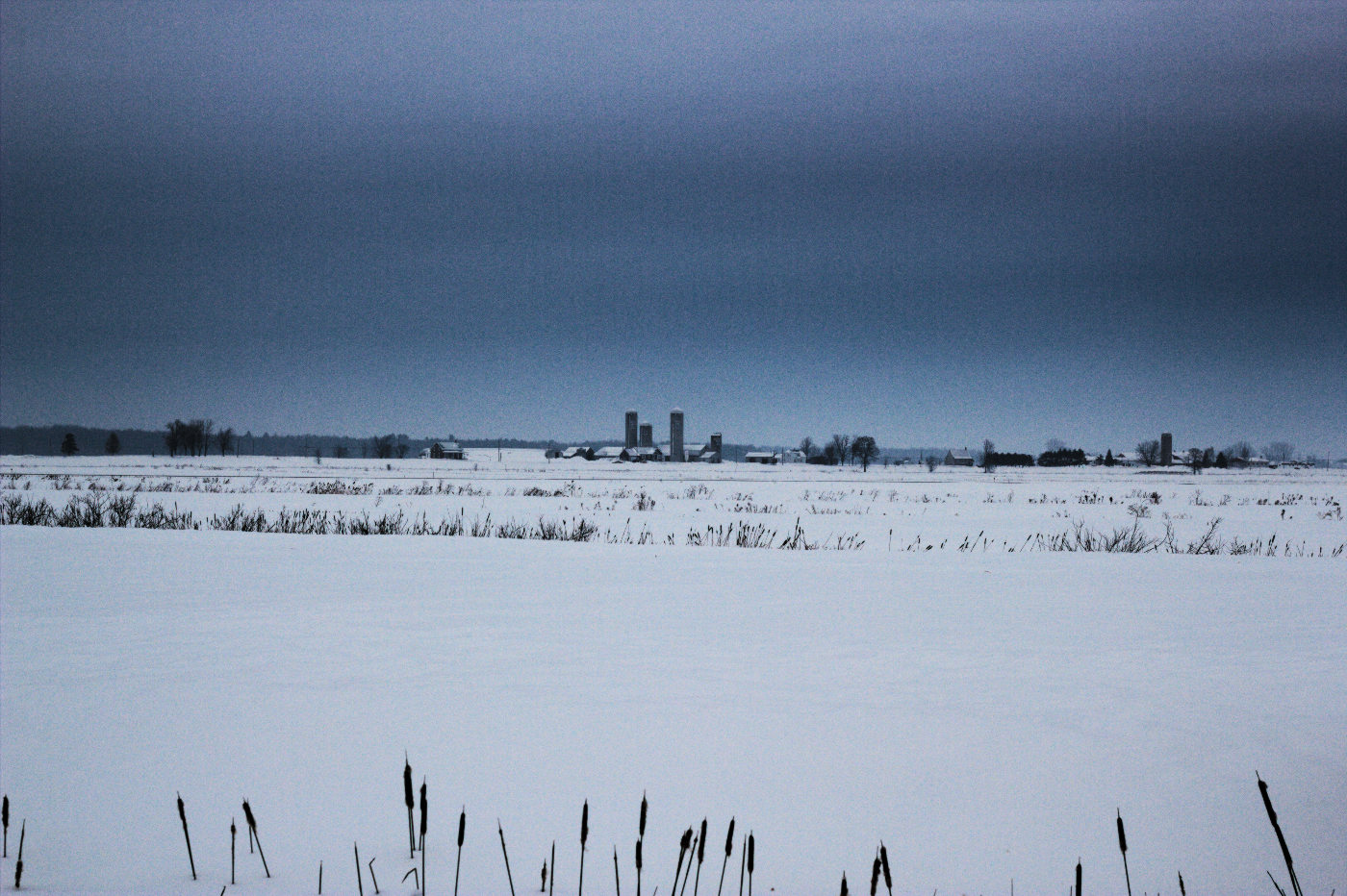 The cold and snowy landscape outside of Louiseville